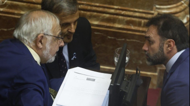 El gobierno quiere cambios en Ficha Limpia para que el proyecto vuelva a Diputados