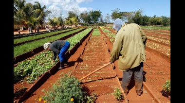 Cuba analiza otorgar tierras a extranjeros