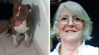 Impactante: un pitbull atacó y desfiguró a una jubilada de 72 años