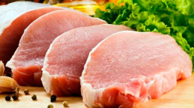 Producción porcina en Argentina bate récord: más de 5,5 millones de cerdos faenados
