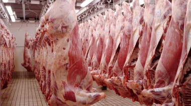 El gobierno de Estados Unidos cuadruplicó la cuota para importar carne vacuna desde la Argentina