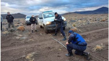 Productores de Chubut denuncian una matanza de guanacos en sus campos: “Los asesinan brutalmente, sin escrúpulos”