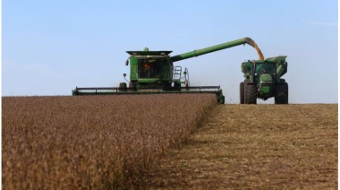 Soja para arriba y tasas para abajo: la economía recibe más viento de cola y crece la expectativa para 2026